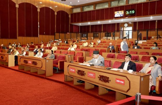 आर्थिक विधेयक र राष्ट्र ऋण उठाउने विधेयक राष्ट्रिय सभाबाट बहुमतले पारित