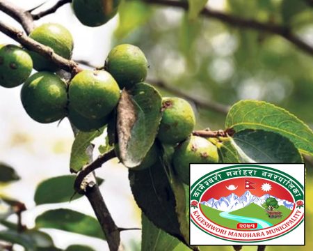 बोधिचित्तका दाना लिलाम बिक्री गर्दै कागेश्वरी मनोहरा, न्यूनतम मूल्य १५ लाख रुपैयाँ