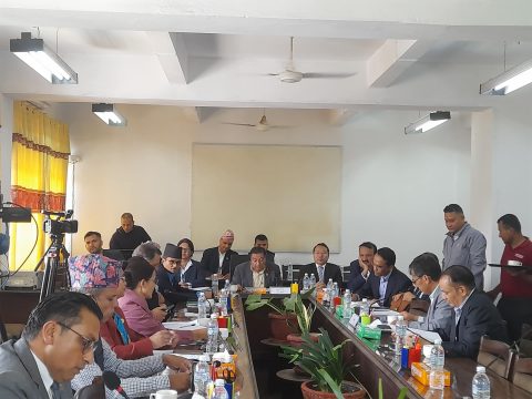 तोकिएको उद्देश्य पूरा गर्न प्रदेश र स्थानीय तहमा बैंक खोल्न दिनुपर्ने विज्ञहरूको सुझाव