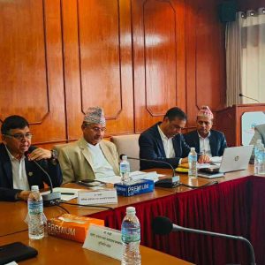 सवारी साधनमा इम्बोस्ड नम्बर प्लेट असोज १ देखि अनिवार्य, दर्तादेखि नवीकरणसम्म नभइ नहुने