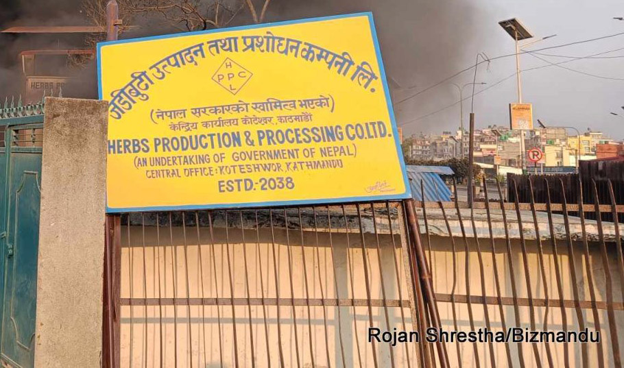 जडीबुटी प्रशोधन कम्पनीको महाप्रबन्धक पदका लागि दरखास्त खुल्यो, के चाहिन्छ योग्यता?