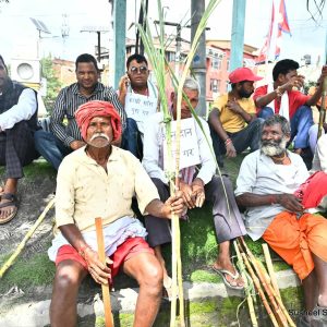 उखु किसानका लागि प्रोत्साहन अनुदान कार्यविधि जारी, रकम सिधै बैंक खातामा भुक्तानी