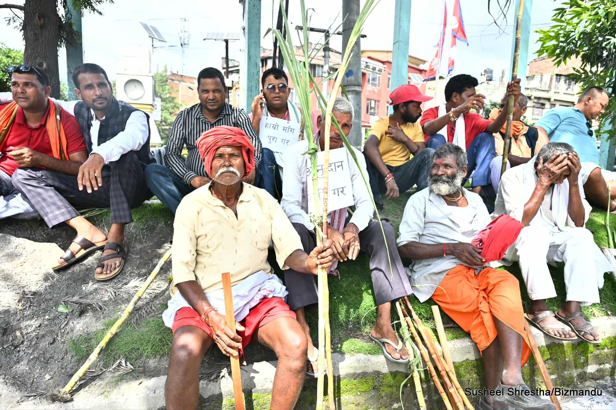 उखु किसानका लागि प्रोत्साहन अनुदान कार्यविधि जारी, रकम सिधै बैंक खातामा भुक्तानी