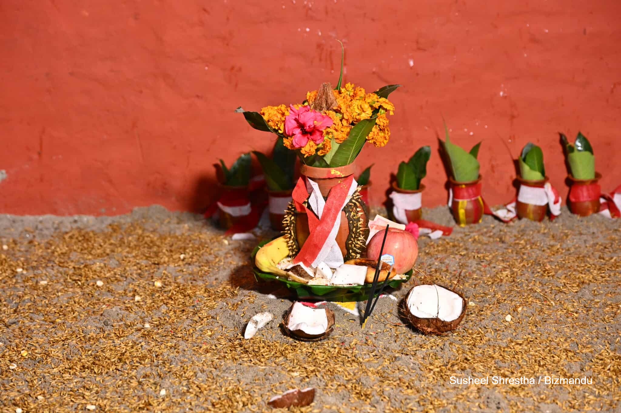 घटस्थापनासँगै बडादसैं सुरु, आजदेखि नौ दिनसम्म नवदुर्गाको विशेष पूजा आराधना