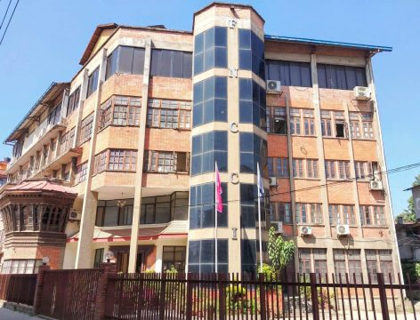 चिया निर्यातमा देखिएको अवरोधमा बोल्यो महासंघ, कूटनीतिक पहल गर्न सरकारलाई आग्रह