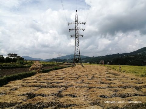 व्यवसायिक विद्युत योजना बनाएरमात्र बिजुली खरिद गर्न प्राधिकरणलाई महालेखाको सुझाव