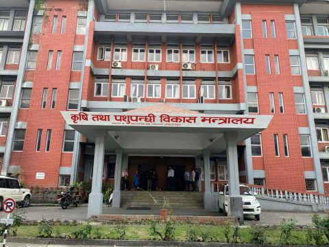 कृषि उपज खरिद गरेको २५ दिनभित्रै भुक्तानी अनिवार्य गर्न कृषि मन्त्रालयको निर्देशन