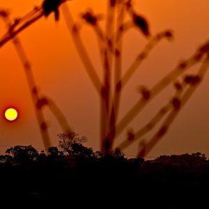 आजको मौसम पूर्वानुमान : तराईमा तापक्रम बढ्ने, हिमाली र पहाडी भेगमा वर्षाको सम्भावना