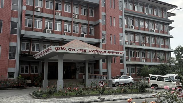 पशुलाई सार्वजनिक स्थलमा छाडा छोड्नेमाथि ३ लाखसम्म जरिबाना, नयाँ कानुन बनाइँदै