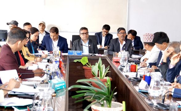 बजेटबारे अर्थ समितिमा अर्थशास्त्री र उद्योगीसँग छलफल, कसले के सुझाव दिए?