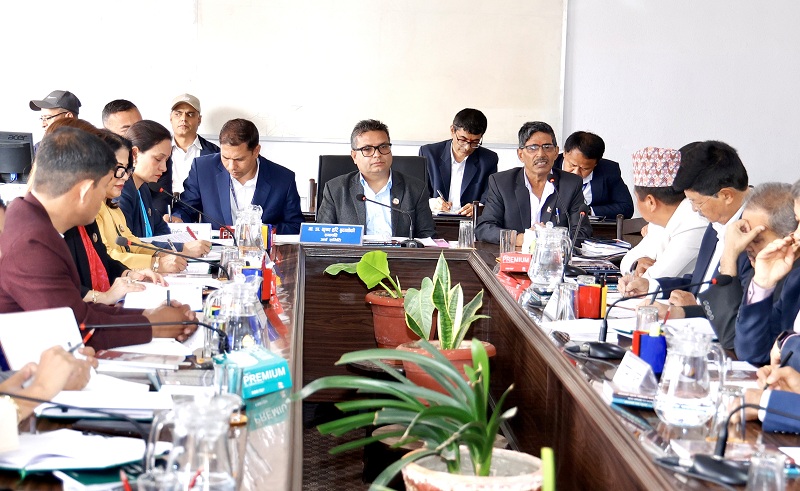 बजेटबारे अर्थ समितिमा अर्थशास्त्री र उद्योगीसँग छलफल, कसले के सुझाव दिए?