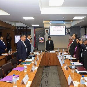 संचार क्षेत्रलाई संघीय संरचनाअनुसार पुनर्संरचना गर्ने निर्णय, समितिले के के गर्‍यो निर्णय?