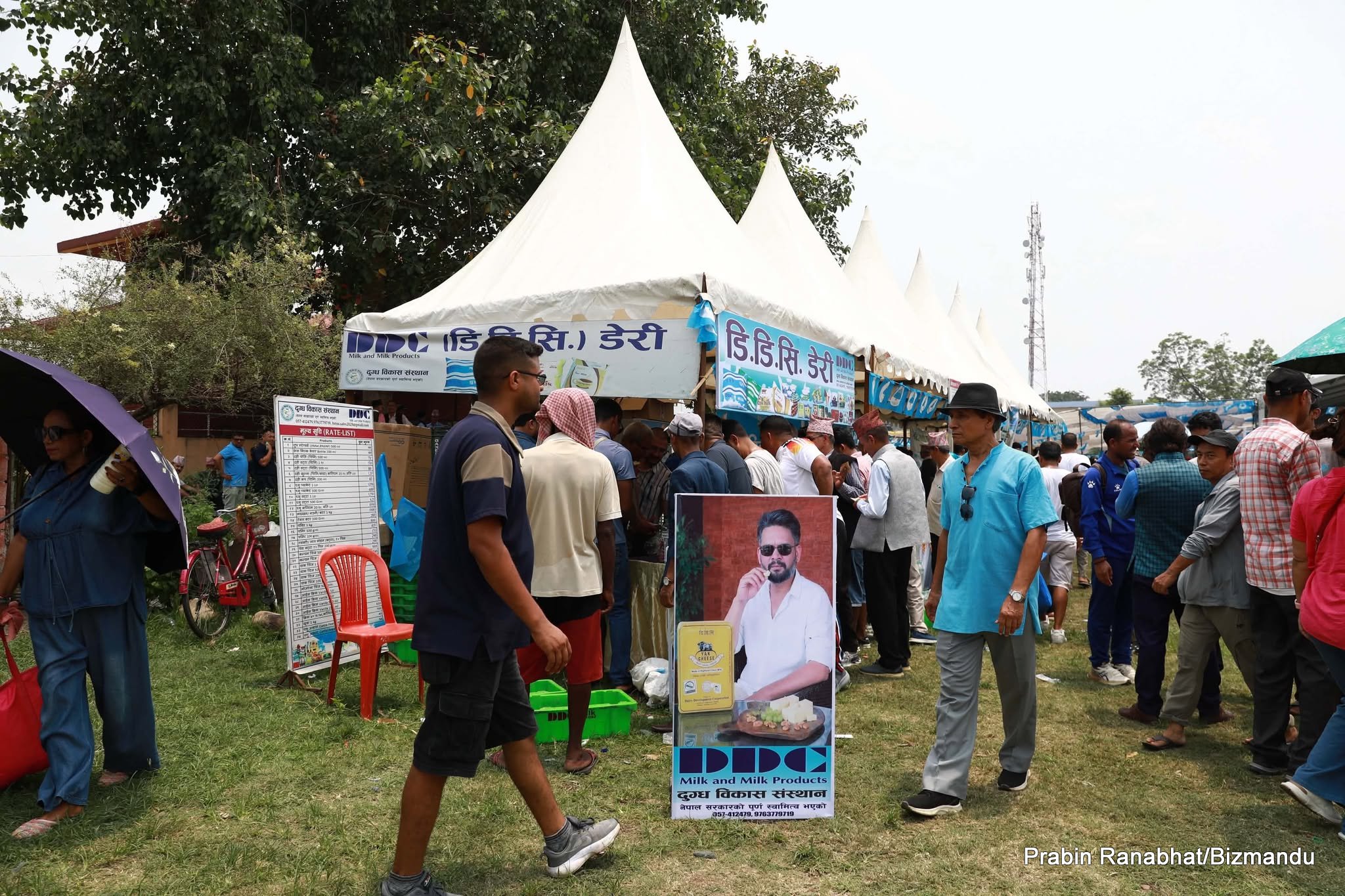 बालेनले ब्राण्डिङ गरिदिएपछि डीडीसीमा सकियो चिजको स्टक, किसानको बक्यौता भने ज्युँकात्युँ