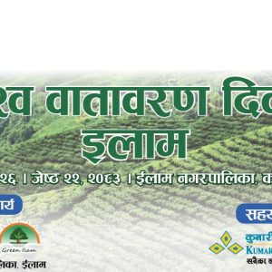 वातावरण दिवसको अवसरमा कुमारी बैंकले इलामको चिया बगानमा रोप्यो ३०० वटा बिरुवा
