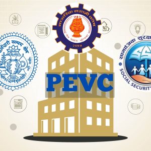 अवकाश कोषहरूको नयाँ रणनीति, प्राइभेट इक्विटी र भेन्चर क्यापिटलमा अर्बौँ लगानी गर्ने तयारी