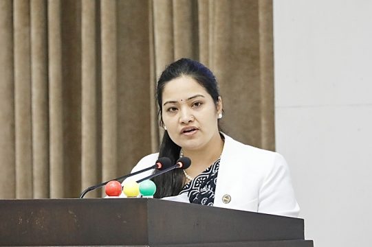 निजामती विधेयकको मस्यौदा रायका लागि कानुन मन्त्रालयमा, प्रतिभाले संसद्‍मा के भनिन्?