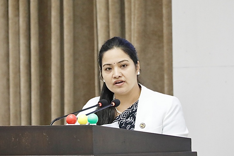 निजामती विधेयकको मस्यौदा रायका लागि कानुन मन्त्रालयमा, प्रतिभाले संसद्‍मा के भनिन्?