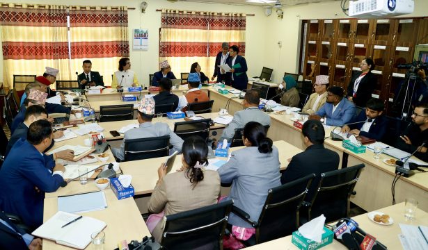 लागूऔषध नियन्त्रणमा कानुनी सुधारसँगै क्षमता बढाउन राज्य व्यवस्था समितिको निर्देशन