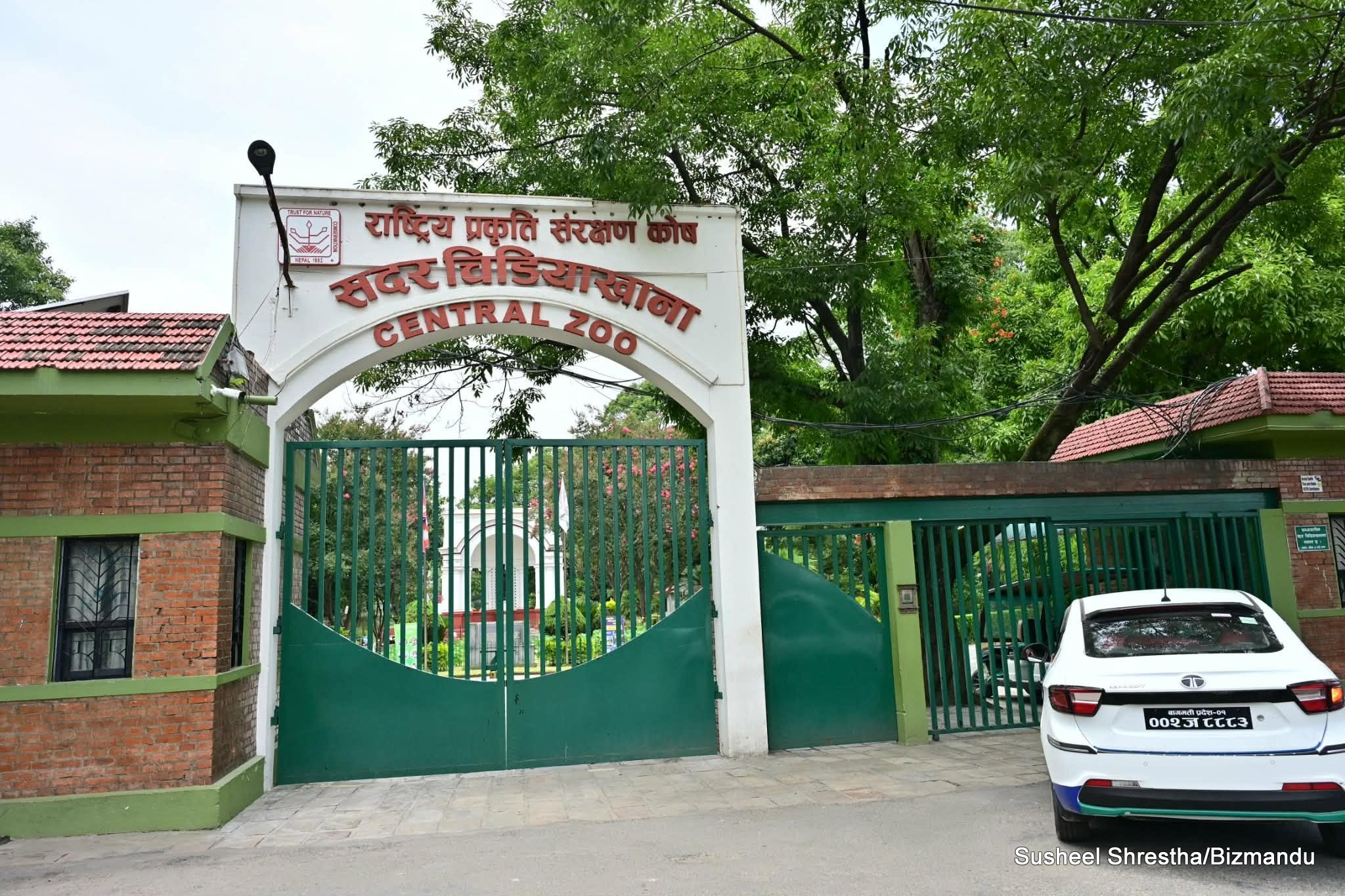 बर्ड फ्लुका कारण सुनसान बनेको सदर चिडियाखाना, निराश भएर फर्किन्छन् अवलोकनकर्ता