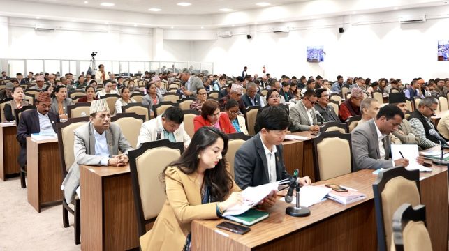 बजेटमाथि सांसदहरुले बोल्ने क्रम दुई दिनमै सकियो, बुधबार ८ मन्त्रीले जवाफ दिने