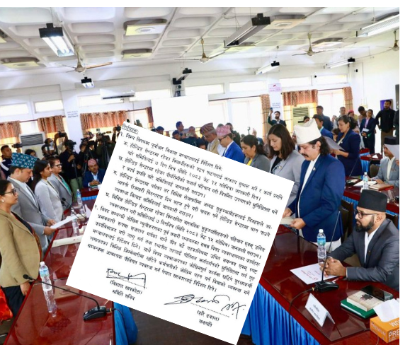 सत्ताको घेराबन्दीमा मिनी संसदः सरकारको काममा छैन निगरानी, नागरिकका समस्यामा मौन