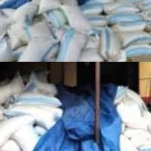 फर्सीको बीउ नियन्त्रण गर्ने क्रममा प्रहरी र स्थानीयबीच झडप, ६ जना घाइते