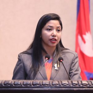 न्यूरोड क्षेत्रमा पार्किङको समस्या समाधानका लागि सुनिताले बालेनसँग मागिन् एनएसीको जग्गा