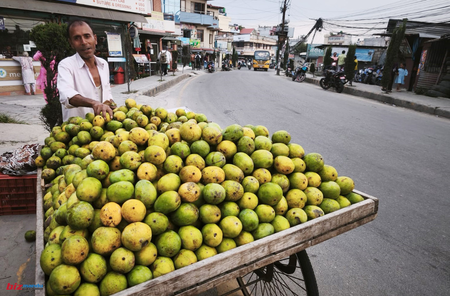 सिजन सकिनै लाग्दा महँगियो आँप, भाउ बढे पनि घटेको छैन मालदहको माग