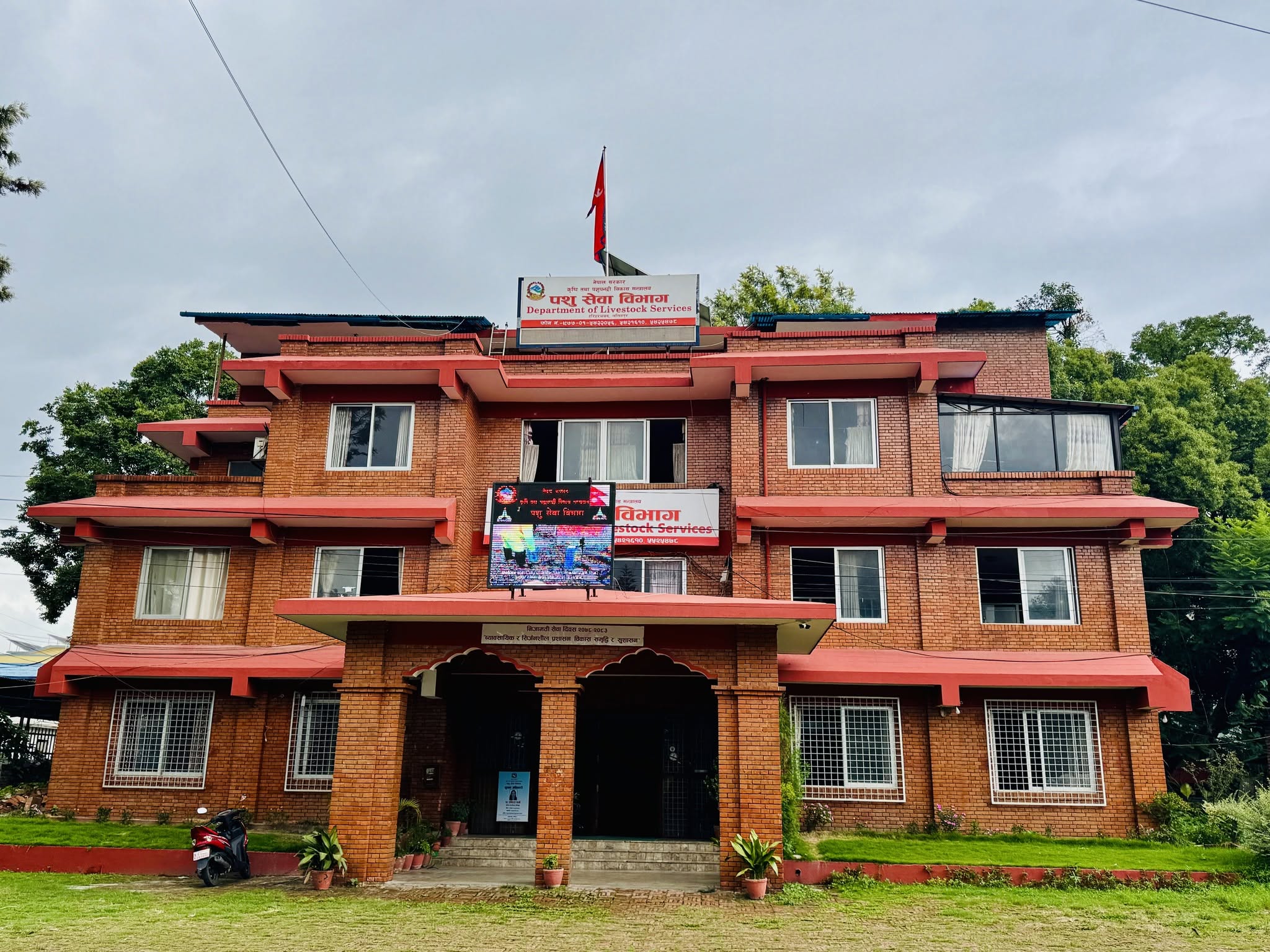 बर्डफ्लु प्रभावितलाई ५२ करोड रुपैयाँ उपलब्ध गराउने तयारी, क्षतिको ७५ प्रतिशत राहत