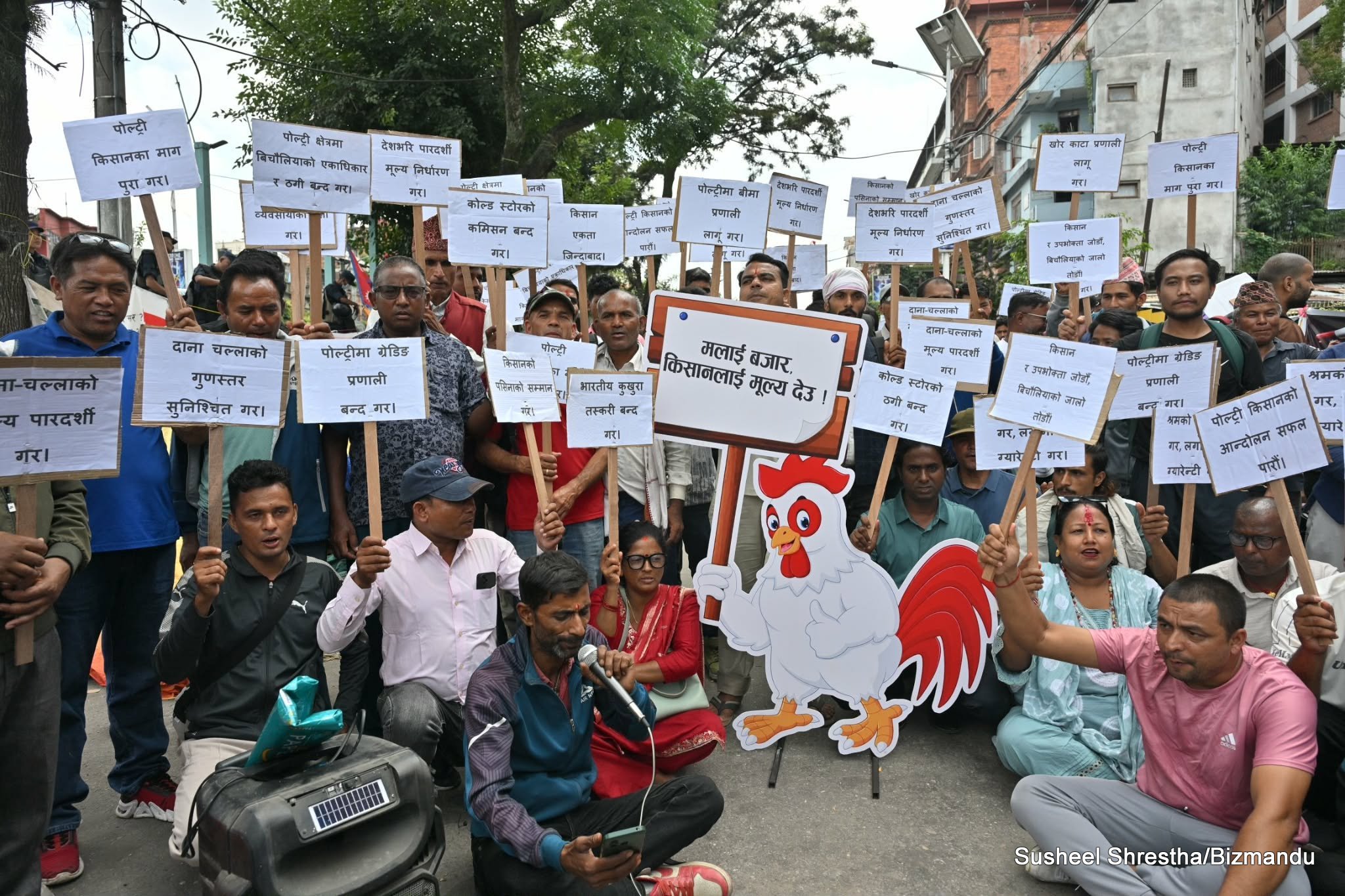 श्रमको सम्मान र लगानीको ग्यारेन्टीका लागि पोल्ट्री किसानले माइतीघरमा गरे प्रदर्शन
