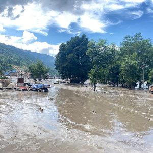 अटो शोमा व्यस्त व्यवसायीलाई ठूलो बज्रपात, ७०० भन्दा बढी गाडी निल्यो बाढीले