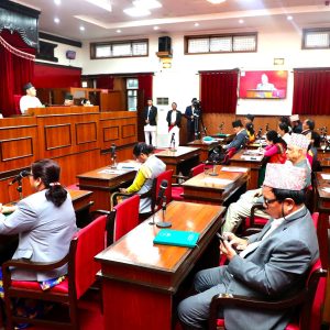 राष्ट्रियसभाले आन्तरिक वायुसेवाको दायित्वसम्बन्धी विधेयक दफावर छलफलका लागि समितिमा पठायो