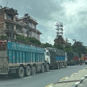 ग्यास लिन हेटौंडा जान लागेका ट्रकलाई एकान्तकुनामा ट्राफिक प्रहरीले रोक्यो, कारण के हो ?