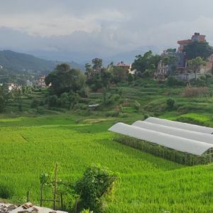 रोक्का भएको २२ वर्षपछि धुलिखेल एकीकृत जग्गा विकास आयोजना कार्यान्वयनको तयारी