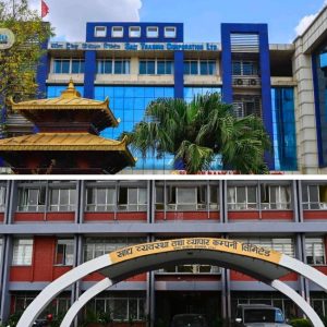 साल्ट ट्रेडिङ र खाद्य कम्पनीले घटाए चिनीको बिक्री परिमाण, उपभोक्ताले कति किन्न पाउँछन्?