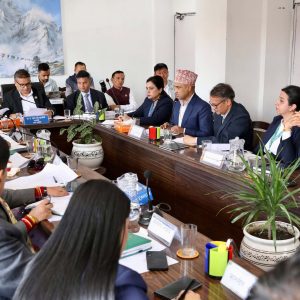 नेप्सेको पुनर्संरचनासँगै सिडिएससीको पनि पुनःसंरचना आवश्यक छ : कञ्चन सापकोटा