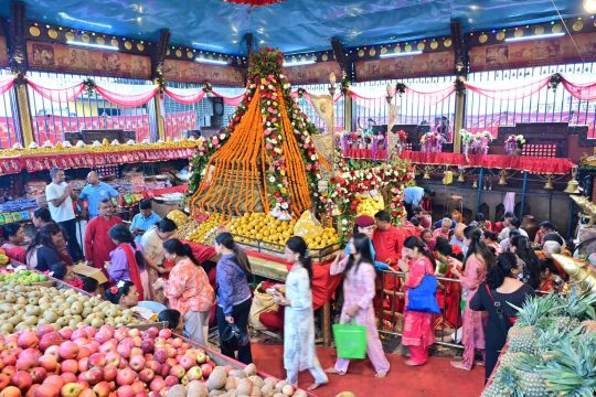 गणेश चतुर्थी मनाइँदै, मन्दिरमा घुँइचो