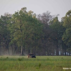 आयोजना र उद्योगलाई वन क्षेत्र प्रयोगको व्यवस्था सहज बनाइँदै, होटल चलाउन पनि दिइने