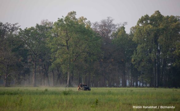 वन क्षेत्रमा पर्यटन विकासका लागि भौतिक पूर्वाधार निर्माणको बाटो खोल्न प्रस्ताव