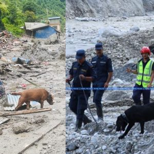 भोटेकोशी बाढीमा सुरक्षाकर्मीसँगै प्रहरीको जम्बो, रक्कीदेखि दिप्सीसम्म खोजी र उद्धारमा