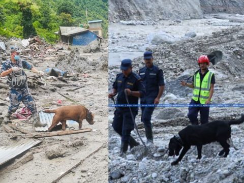 भोटेकोशी बाढीमा सुरक्षाकर्मीसँगै प्रहरीको जम्बो, रक्कीदेखि दिप्सीसम्म खोजी र उद्धारमा