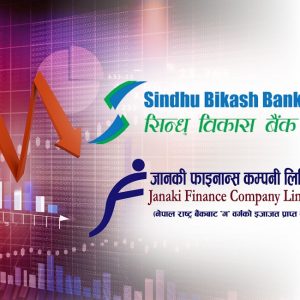 मुक्तिनाथले एक्वायर गर्ने भएपछि सिन्धु विकास बैंक र जानकी फाइनान्सको सेयर मूल्यमा पहिरो