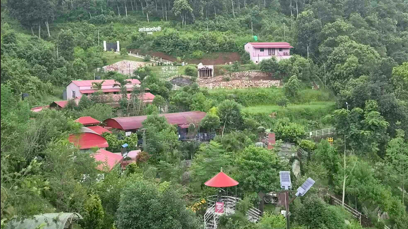 जडीबुटी उद्यान अवलोकन गर्ने उपयुक्त गन्तव्य तनहुँको झाङ्गाझोली, घुमफिरसँगै ज्ञान र मनोरञ्जन