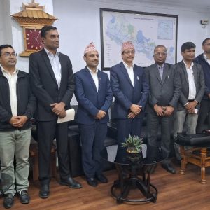 विद्युत व्यापार गर्न निजी क्षेत्र आकर्षित, कुन-कुन कम्पनीले पाए एलओआई?